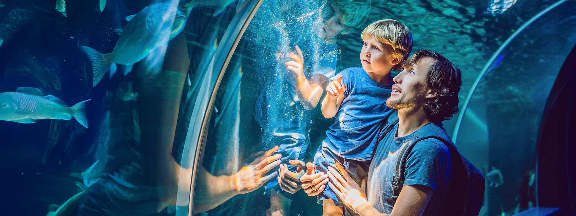 An adult and a child look at fish through the glass of an aquarium tunnel, with blue water and swimming fish visible in the background.