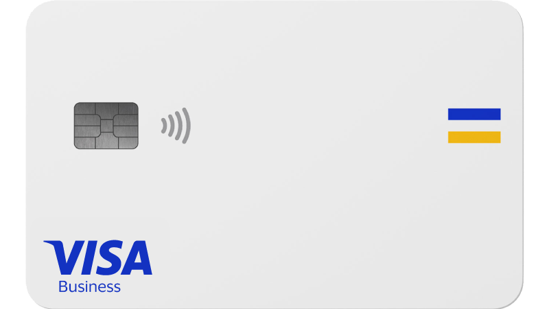 Visa Business card